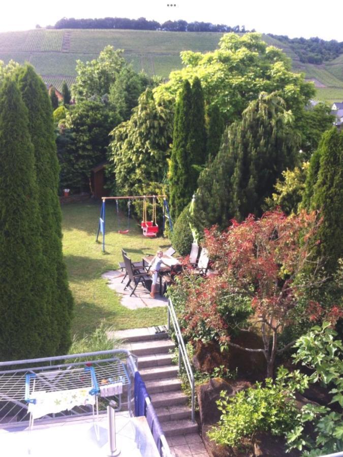 Doppelzimmer Mit Terrasse Zum Garten, Ruhig, Weinbergsblick, Zusaetzliches Kinderzimmer Anbei Moeglich Winningen Dış mekan fotoğraf